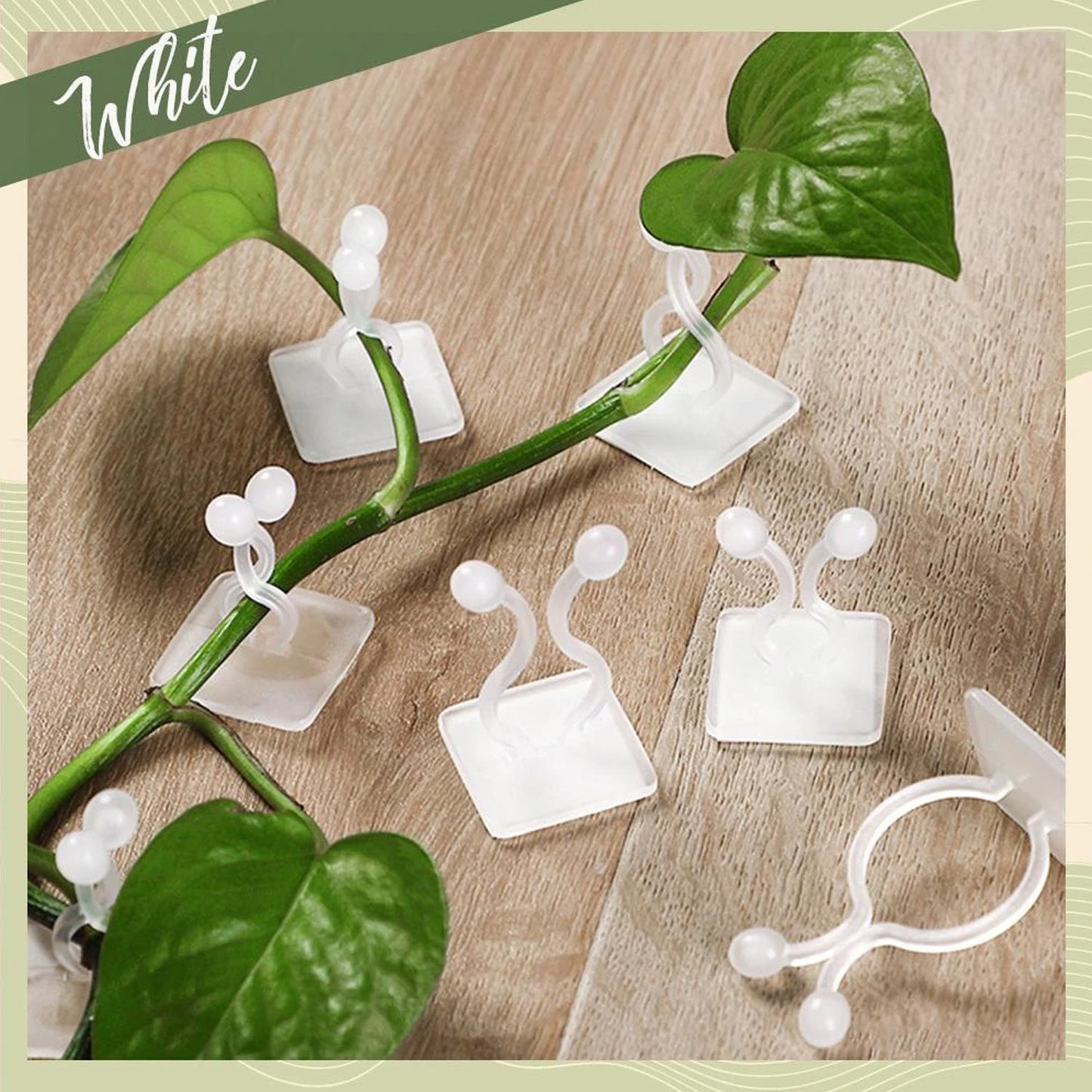 6156 wall Plant Climbing Clip widely used for holding plants and poultry purposes and all. 