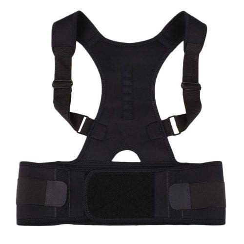 388 Real Doctor Posture Corrector (Shoulder Back Support Belt) 
